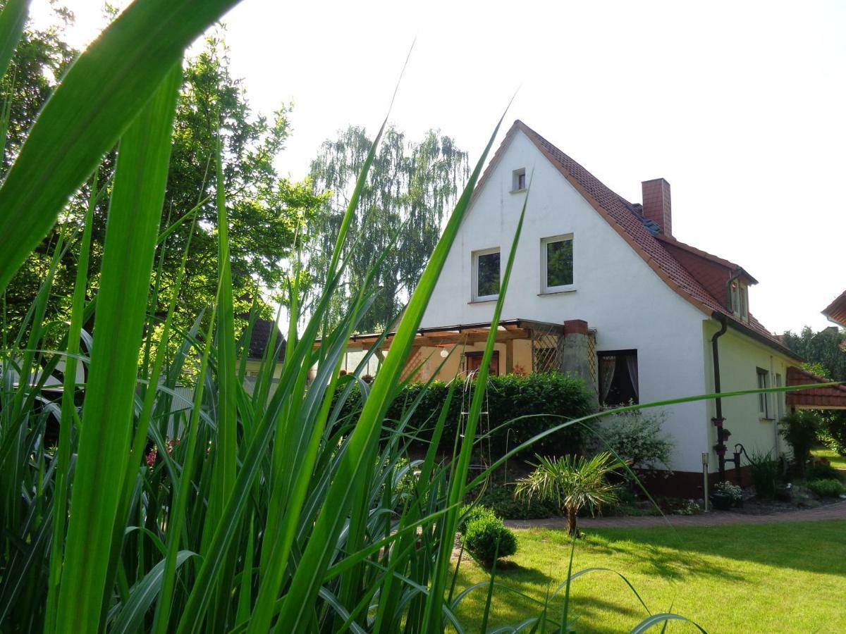 Dawe Göttingen
